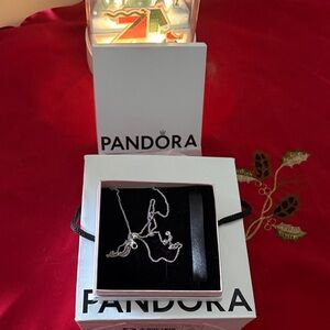 Beautiful Pandora Silver Necklace with Adjustable long size feature